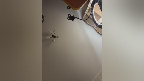 hellmor free recording from 2026-01-26 01:23:00