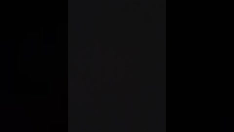 A dimly lit video of a tall, vertical, dark object, possibly a tree or a building, set against a completely black background. The image is devoid of any visible textures or details, emphasizing its monochromatic simplicity.