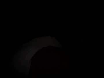 sallyeleins free recording from 2026-01-25 00:06:00