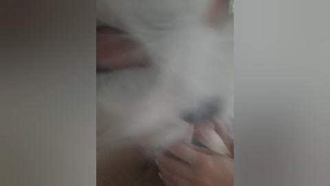 sweetpussy777 free recording from 2026-01-27 03:08:00