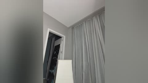 talilia free recording from 2026-01-26 01:23:00