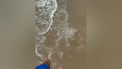 volnav free recording from 2026-01-25 00:02:00