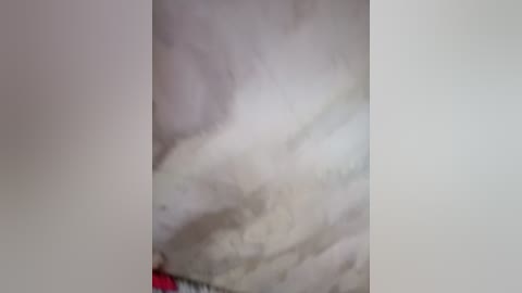 artem29aalisa29 free recording from 2026-01-26 00:15:00