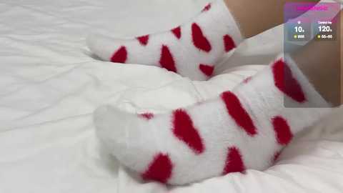 koketka free recording from 2026-01-27 03:08:00