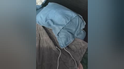 nelonia free recording from 2026-02-17 00:06:00