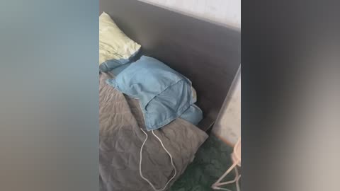 nelonia free recording from 2026-02-17 00:06:00