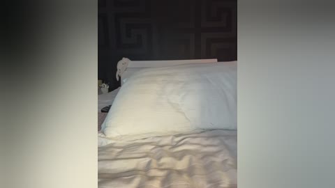 sara_ free recording from 2026-01-26 00:15:00