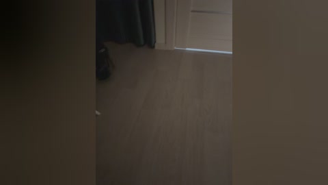 skitovteam free recording from 2026-01-26 00:15:00