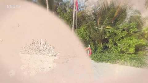 taanni free recording from 2026-01-26 00:15:00