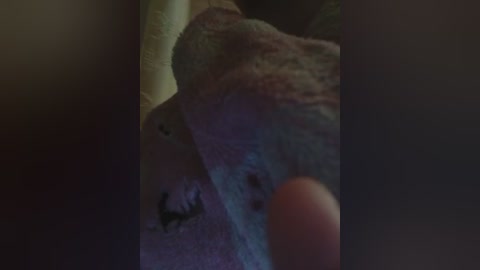 totodasha free recording from 2026-01-28 01:07:00