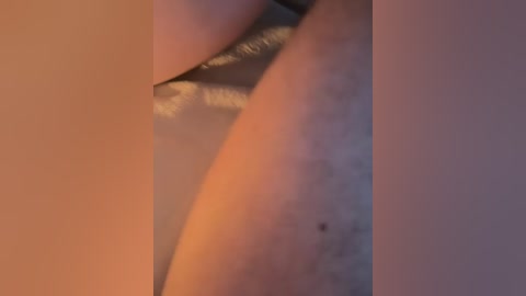 worstfriends free recording from 2026-02-17 00:06:00