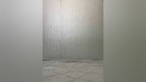 Video of a dimly lit, narrow hallway with a textured, light gray wall on the right and a smooth, white wall on the left. The floor has a patterned, light gray carpet.