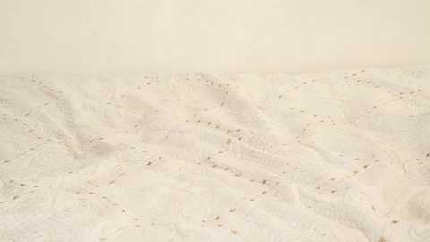 Video of a vast, undulating, snow-covered desert landscape with subtle, undulating patterns of light and shadow, featuring sparse, small rocks and a soft, pastel color palette.
