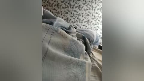 Video of a cozy bedroom corner with a bed covered in a gray and blue plaid blanket. The wallpaper features a pattern of black birds on a white background.