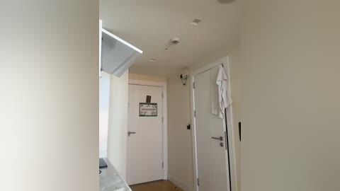 Video of a narrow, minimalist hallway with beige walls, a white door, and a hanging jacket. The ceiling has recessed lights.
