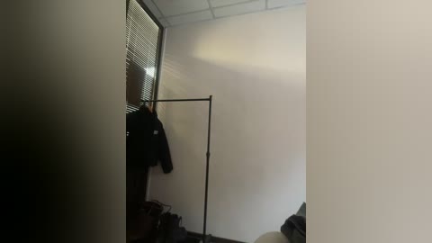 Video of a dimly lit, sparsely furnished room with a person in a dark jacket standing near a window with partially closed blinds. The room has plain white walls and a ceiling with fluorescent lighting.