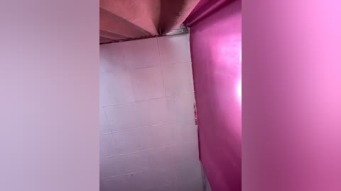 Video of a narrow, brightly lit interior space featuring a white brick wall and a vibrant pink plastic partition. The ceiling is supported by visible wooden beams, casting shadows. The overall ambiance is minimalistic and clean, with a stark color contrast between the two main elements.