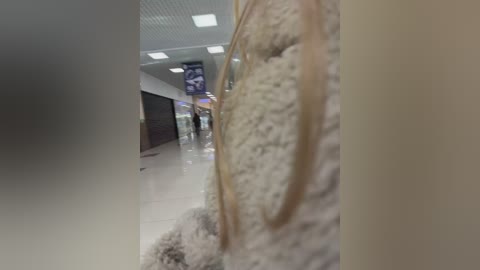 likachkaa free recording from 2026-01-28 00:02:00