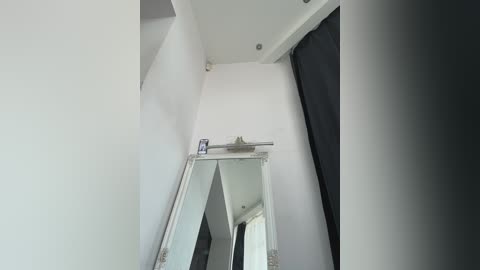 monikayyy free recording from 2026-01-29 08:15:00