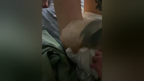 riga_5 free recording from 2026-01-30 00:49:00