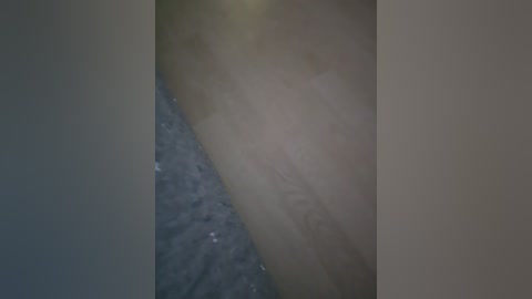 skitovteam free recording from 2026-01-28 00:14:00