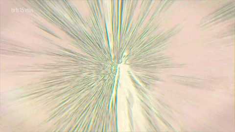 taanni free recording from 2026-01-28 01:09:00