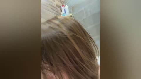 _leiaproseccina_ free recording from 2026-01-29 08:15:00