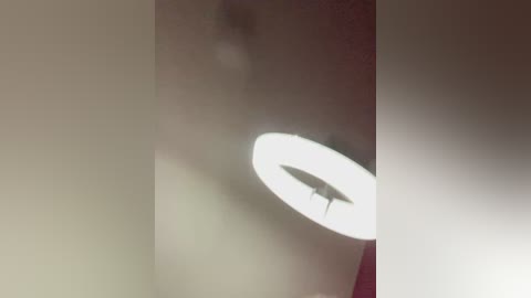 cat_meowa free recording from 2026-01-29 08:15:00