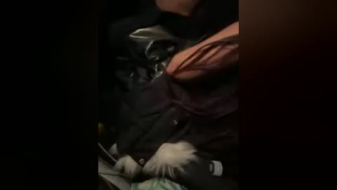 daisy12321 free recording from 2026-01-30 01:39:00