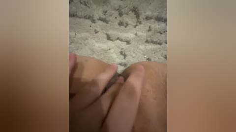 A close-up video of two hands holding a white fluffy cat, with a beige background. The cat appears relaxed, and the hands are gentle.