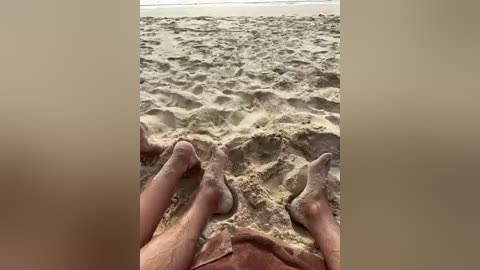 volnav free recording from 2026-01-29 08:09:00