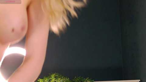 _mozaly_ free recording from 2026-01-30 00:49:00