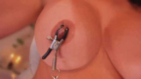 meegan free recording from 2026-01-30 00:49:00