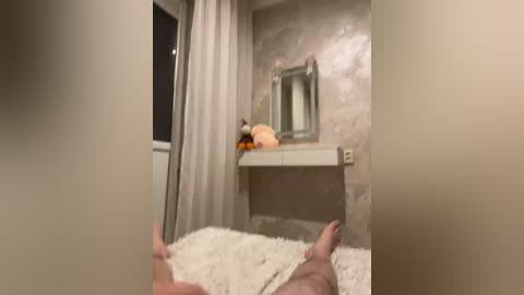 Video of a dimly lit, beige bathroom with a fluffy white bathmat. A hand is visible in the foreground, holding a stuffed animal. The background features a wall-mounted mirror and a plush toy on a shelf.