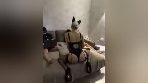 A video shows a woman in black lingerie with a dog head mask, seated on a couch, in a dimly lit room with soft, muted colors.