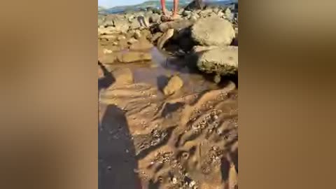 volnav free recording from 2026-02-17 00:06:00