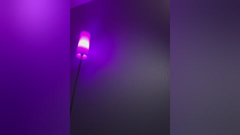 businkaa free recording from 2026-02-01 00:38:00