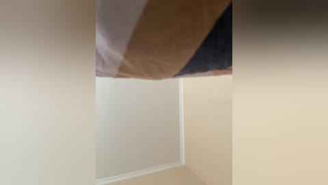 A video of a beige ceiling corner with a dark brown cardboard box partially obscuring the view, taken from a low angle, emphasizing the room's plain, unadorned interior.