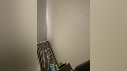 Video of a small, cramped room with beige walls and a silver duct tape covering the corner where two walls meet. A small wooden desk with a green plant and a glass cup is visible.