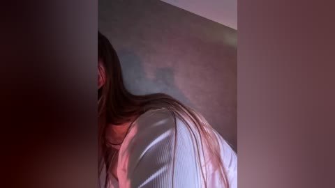 _summer_ free recording from 2026-02-01 02:55:00