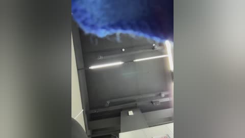 adelaida1001 free recording from 2026-02-02 00:17:00