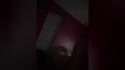 A dimly lit video of a bedroom with a bed partially visible under a red wall. The scene is shrouded in shadows, giving it a mysterious and moody ambiance.