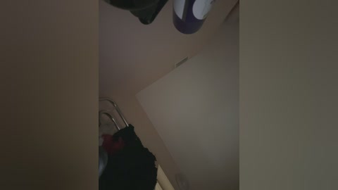 kiss_krisss free recording from 2026-02-03 00:59:00