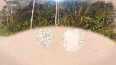 taanni free recording from 2026-02-01 00:39:00