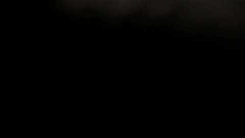 A video of a dark, dense forest with minimal light, creating a mysterious and eerie atmosphere. The background is mostly black, with indistinct shapes and shadows suggesting trees and foliage. The image lacks distinct details, emphasizing the overall darkness and depth of the forest.