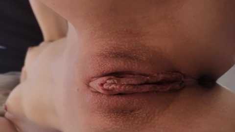 _miray_ free recording from 2026-02-02 01:33:00