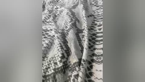 Video of a snake's head, showing intricate black and white scales with a textured, slightly bumpy surface, against a plain, light gray background.