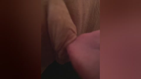 chanel77777 free recording from 2026-02-03 01:08:00