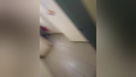 denissofia free recording from 