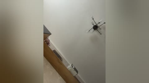 lavandaista free recording from 2026-02-17 00:20:00